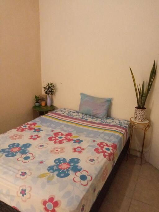 La Casa Del Pinito Apartman Sonsonate Kültér fotó